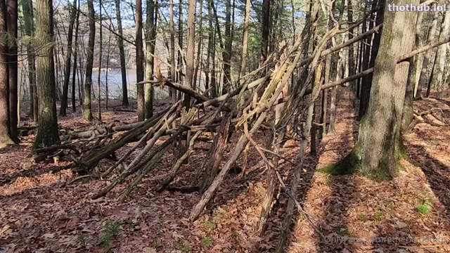 Auntie Athena nude in the woods