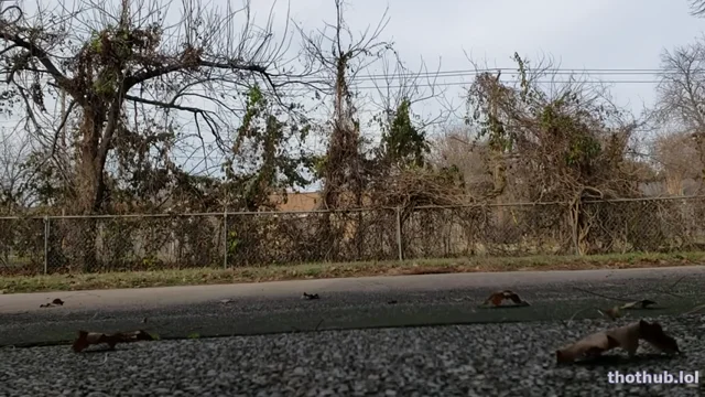 MissVanessaJune Outdoor Backyard Pee 2