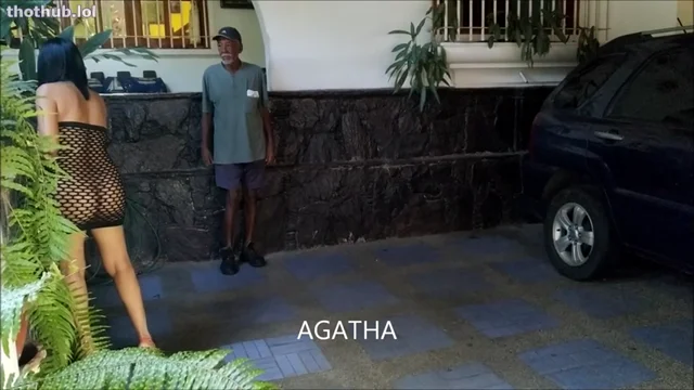 …………………….