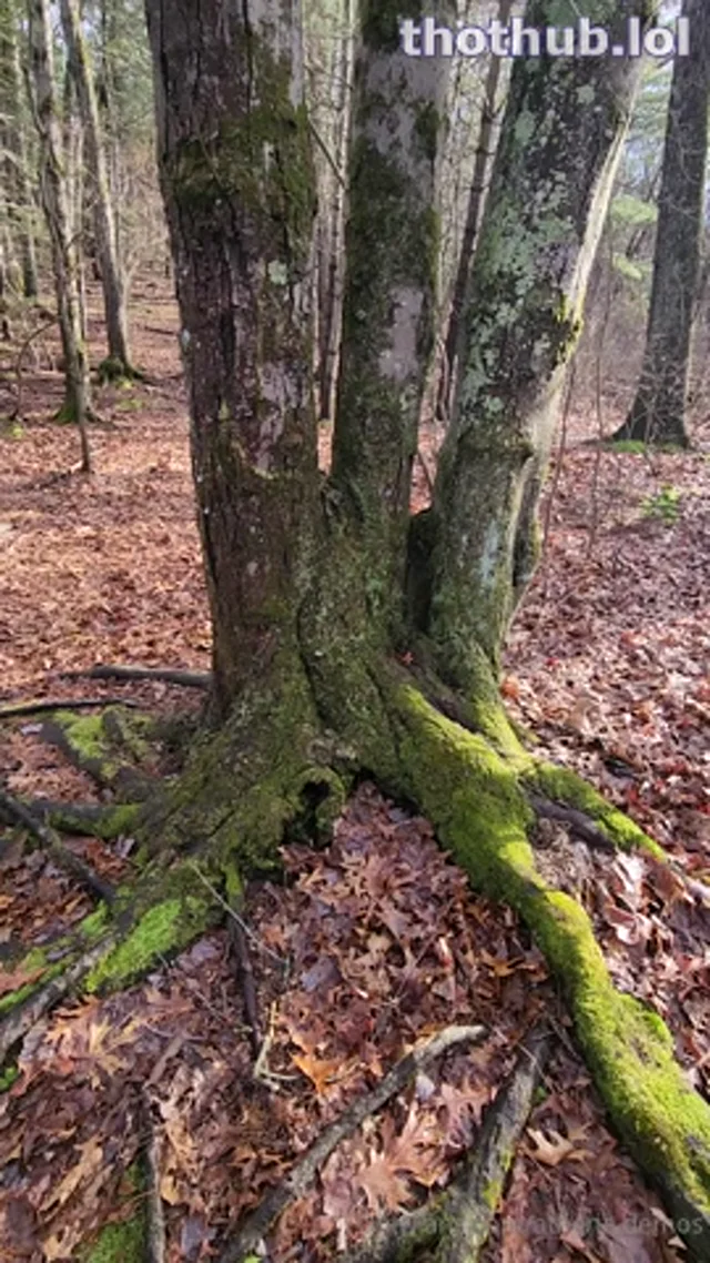Athena Demos tree hugging