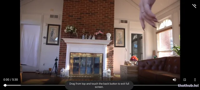 Elizabeth rabbit testing out micro bikini