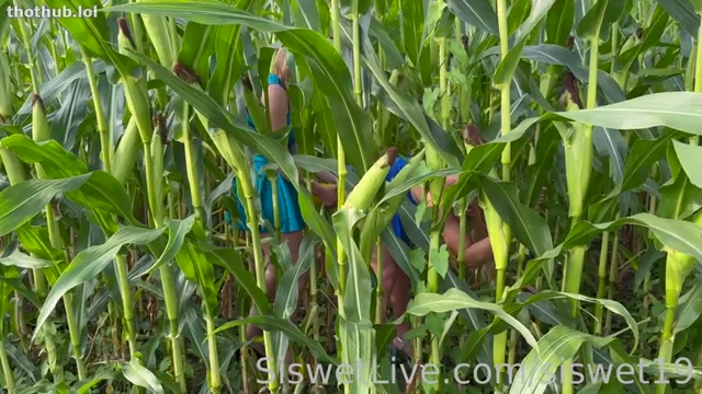 Siswet Corn Dildo Squirting