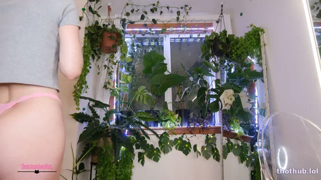 Dest K@t Cuck Clean Up