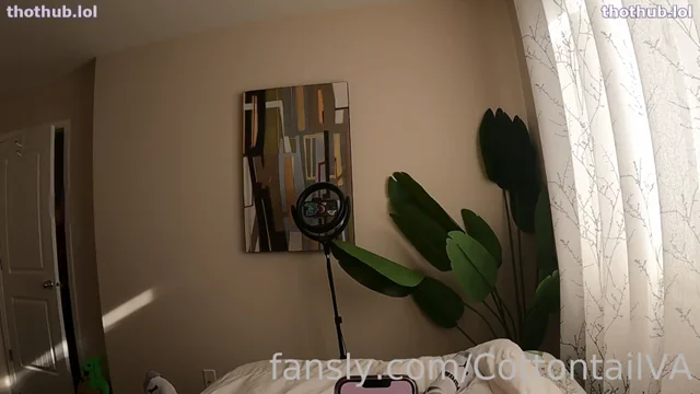 Cottontailva Onlyfans