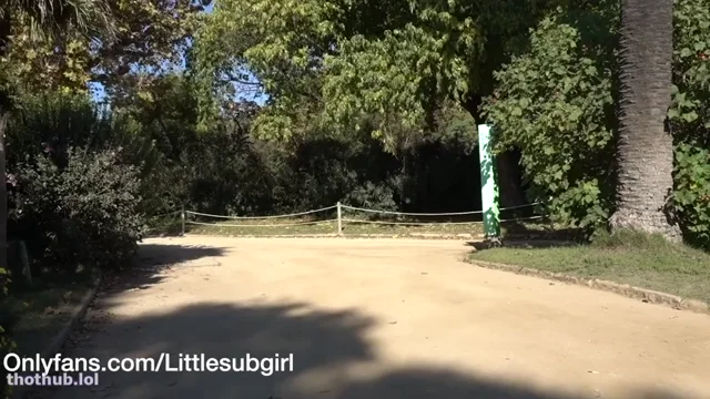 Littlesubgirl – Public Double Headed Dildo All In Ass & Panty Stuffing