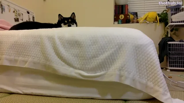 Mynightjobaccount-9-4-2022 Camshow Part-2