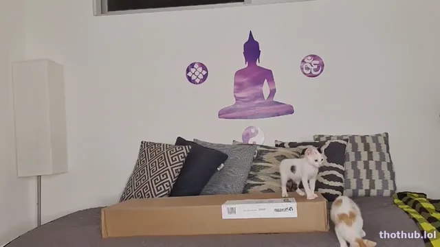 Jenny Scordamaglia blog bricolaje