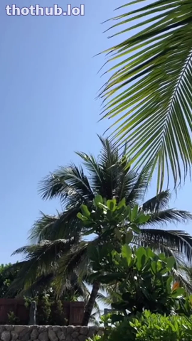 Bakameido tropical pool strip