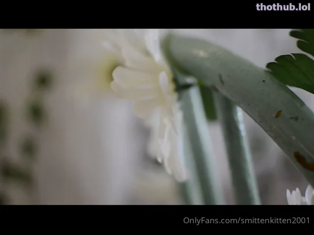 Smittenkitten petite asian blowjob