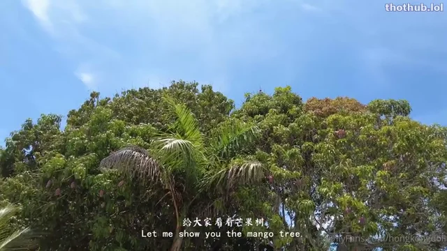 Hongkongdoll public bathroom sex