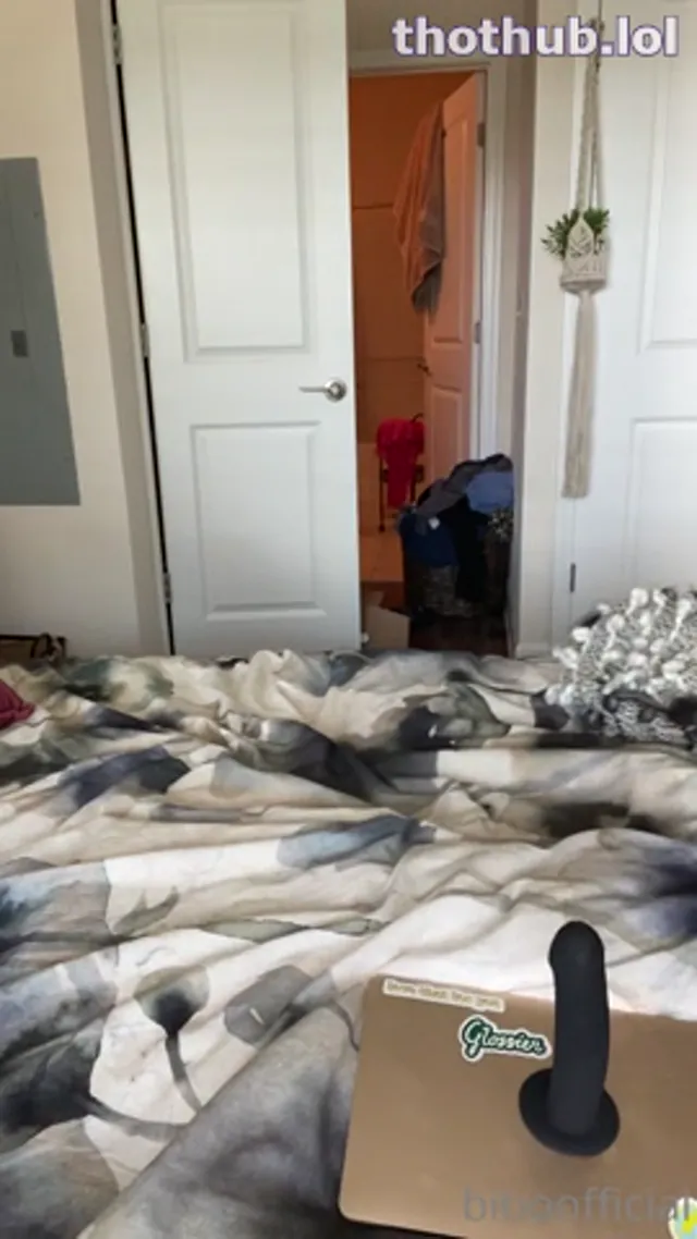 Biboofficial dildo play