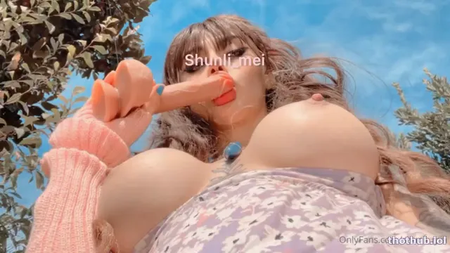 Shunli_Mei