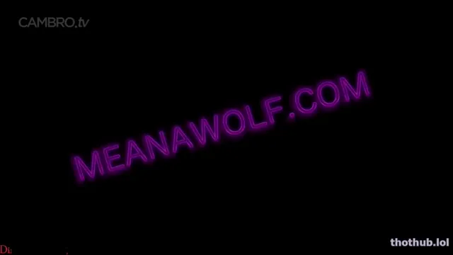 Special checkup meana wolf