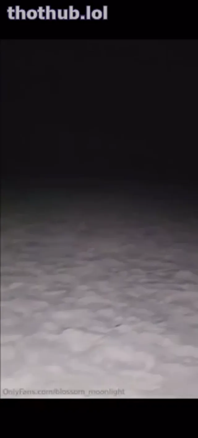 Blossom_moonlight beach