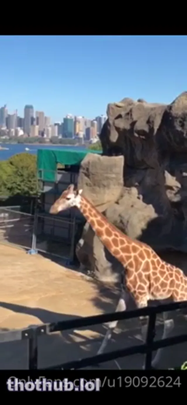 Lana rhoades Safari naked lesbian Onlyfans