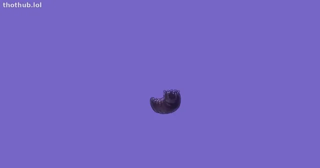 Parasited – lucy.mochi