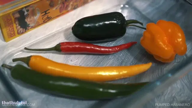 Queensnake rubbing hot chillies over pussy