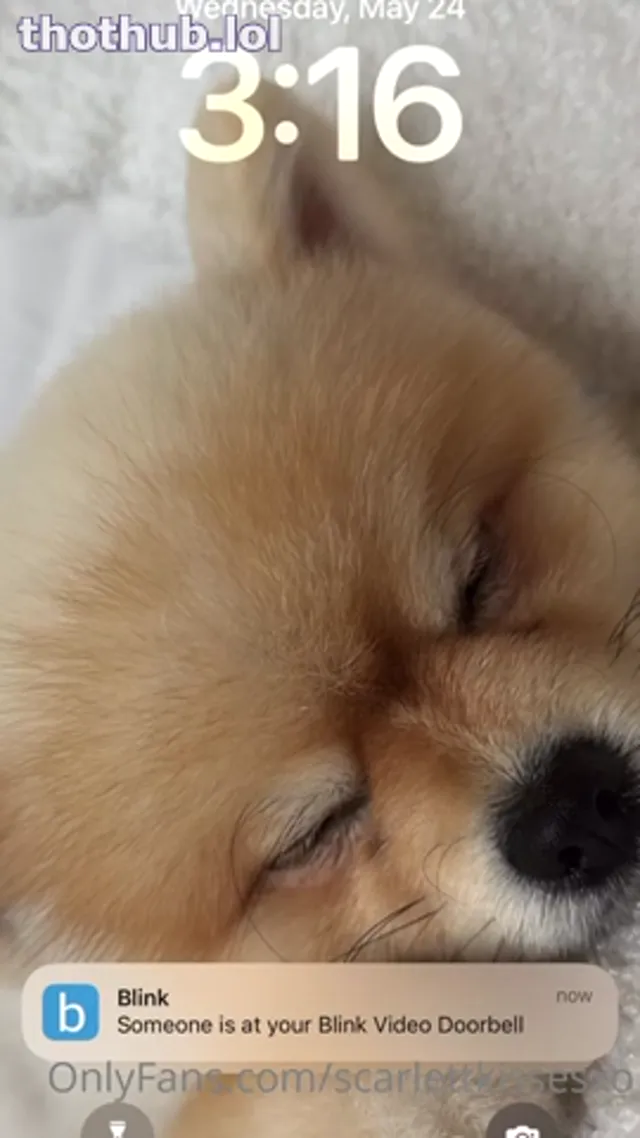 ScarlettKissesXO Handyman Sextape Video Leaked