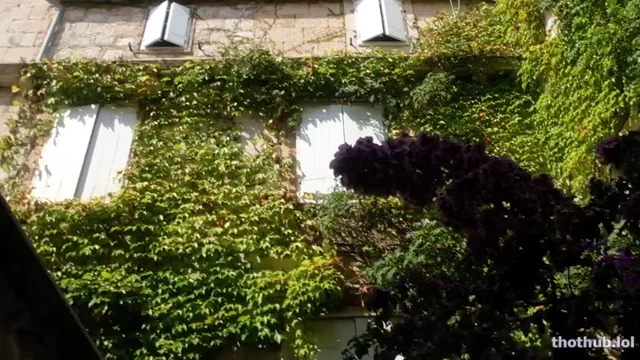 Rachel Cook BTS Public