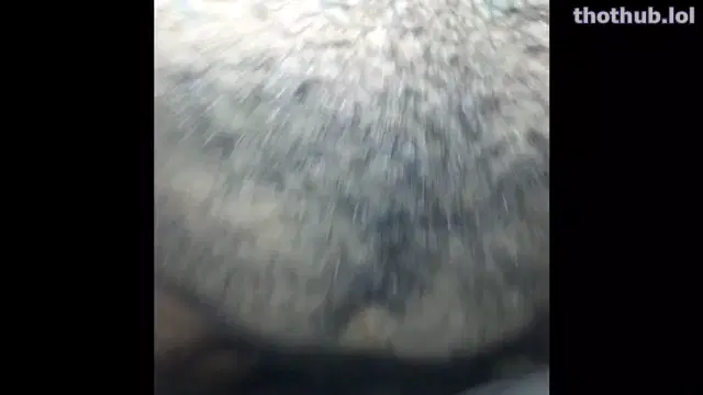 KoalaC5000 creampie
