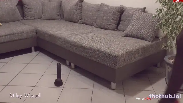 Miley Weasel solo