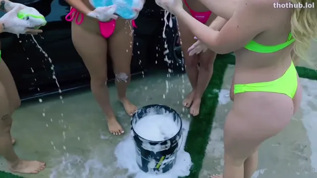 Strawberrytabby & Friends-Car wash