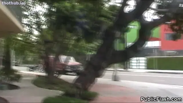 Publicflash – krystal