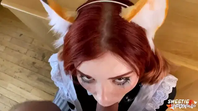 Sweetie fox