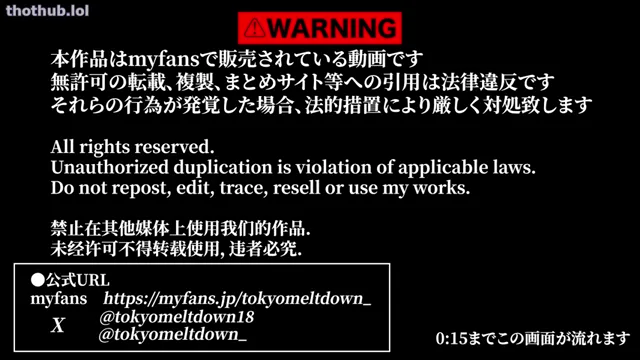 Tokyomeltdown