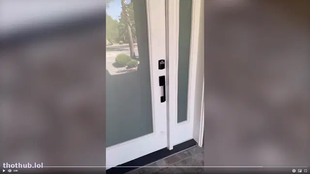 Lexis Wilson Fucks A Delivery Guy