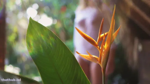 Carlotta Champagne – Bali