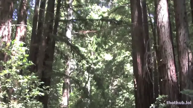 Naughty Natural -Lesbian Forest Voyeurs