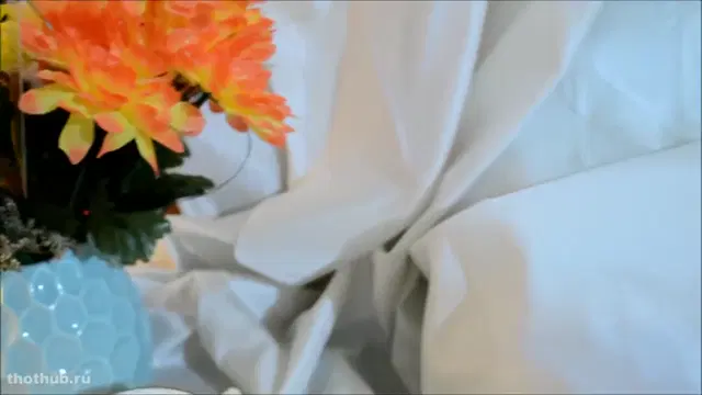 Forest nymph whtite rabbit