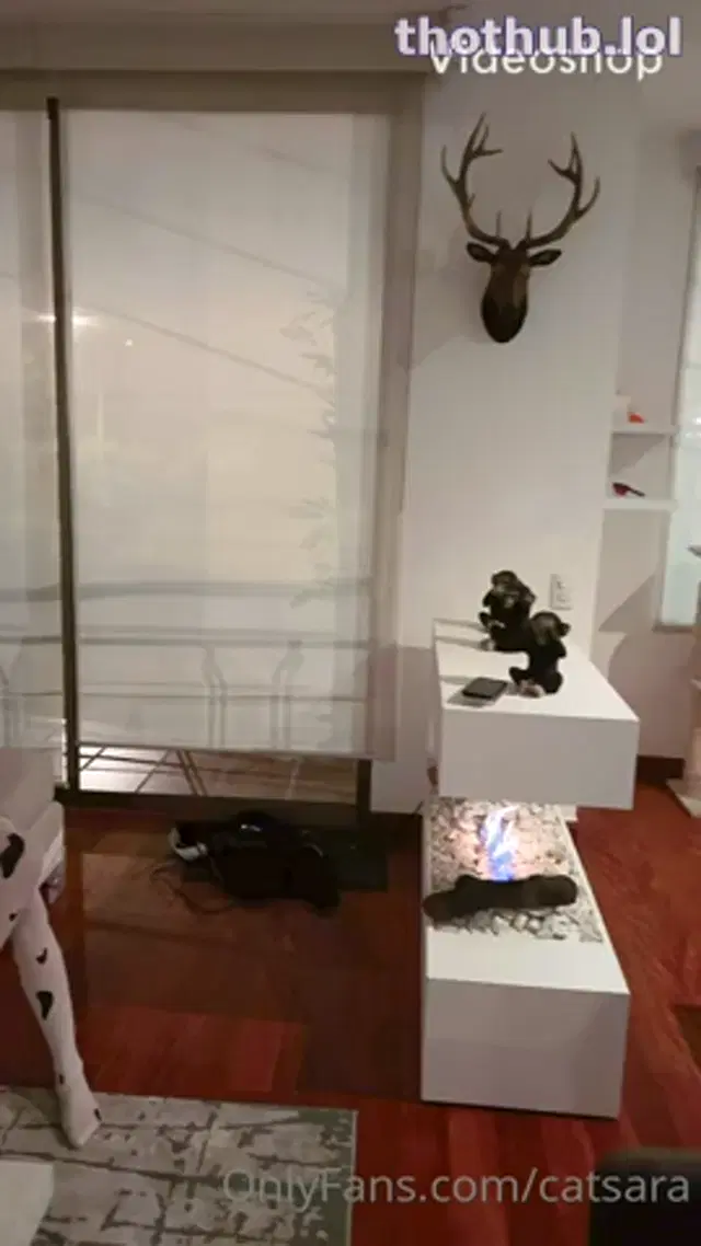 Catsara
