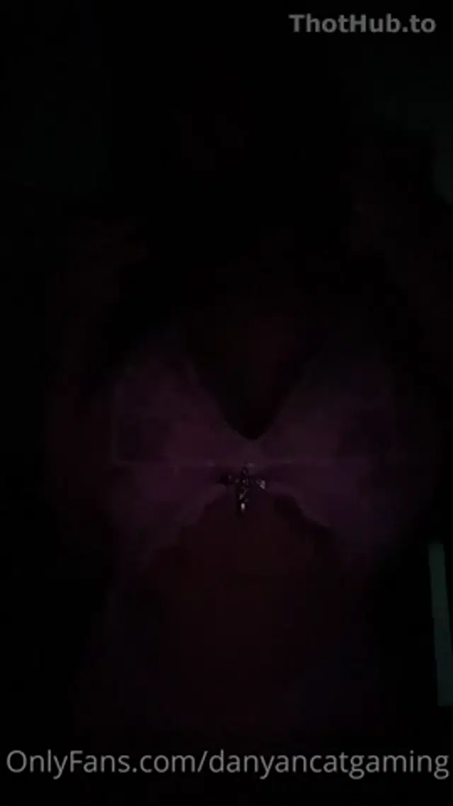 DanyanCat sheer lingerie