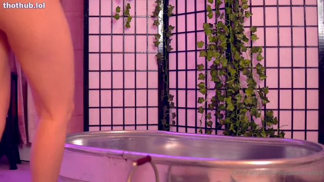 ElizabethRabbit Wet Tshirt Try On Haul