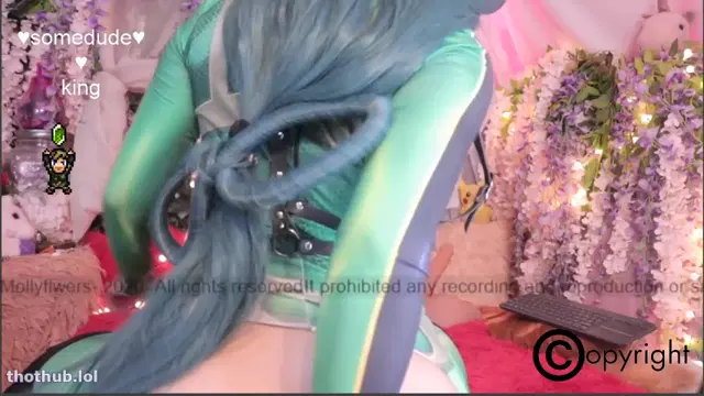 Mollyflwers 01