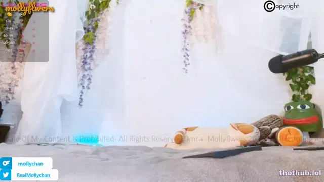 Mollyflwers