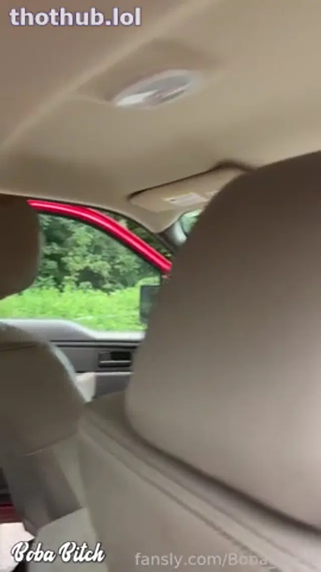 Boba_bitch-I didnt want them to get smacked off by oncoming traffic