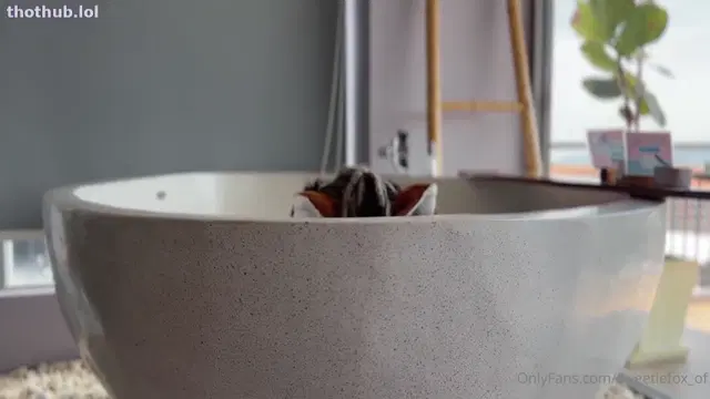 SWEETIE FOX