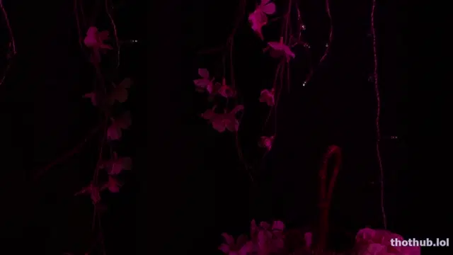 Maimy ASMR