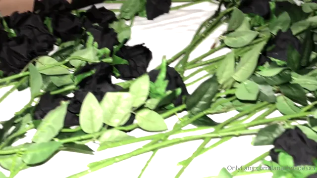 Onlyfans Lana Rhoades pussy video 22-july-2025