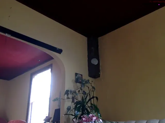 Dj_shay mfc