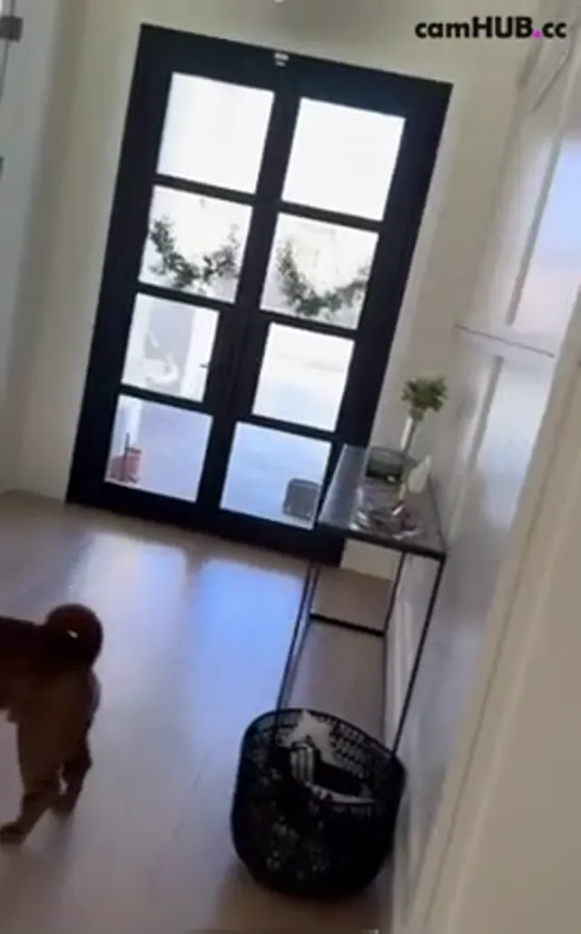 Onlyfans Allison Parker nude videos_2