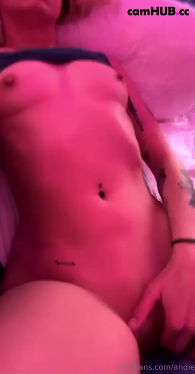 Andiecase 4