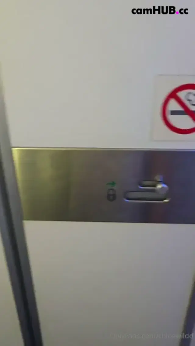 Chloe Wildd Gets Wild On An Airplane Bathroom Onlyfans