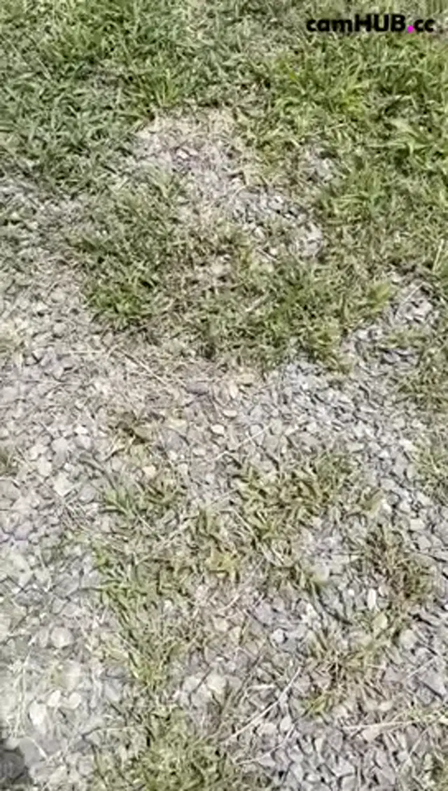 Frisky Twins Lesbian Scissoring On A Hillside Rubbing each other Onlyfans