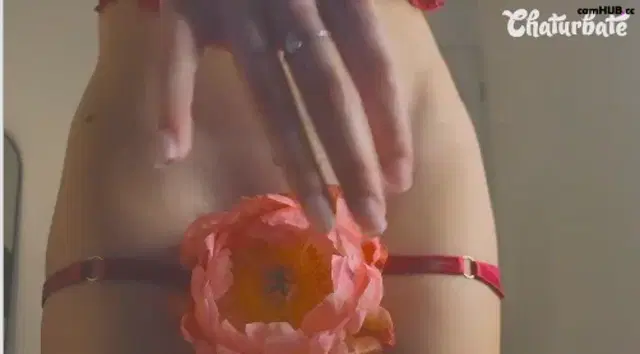 Cuute_angell