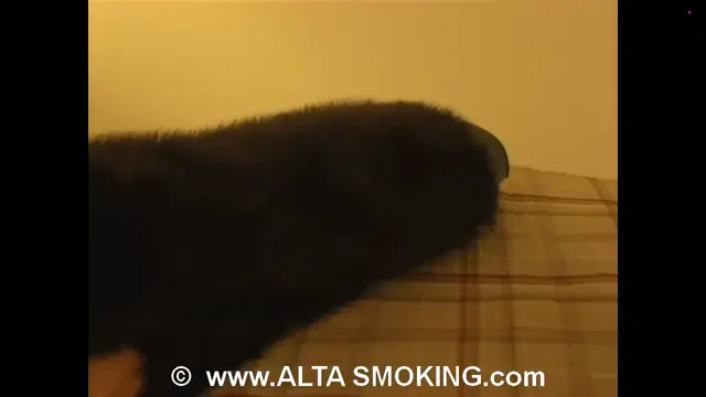 HV smoking 2