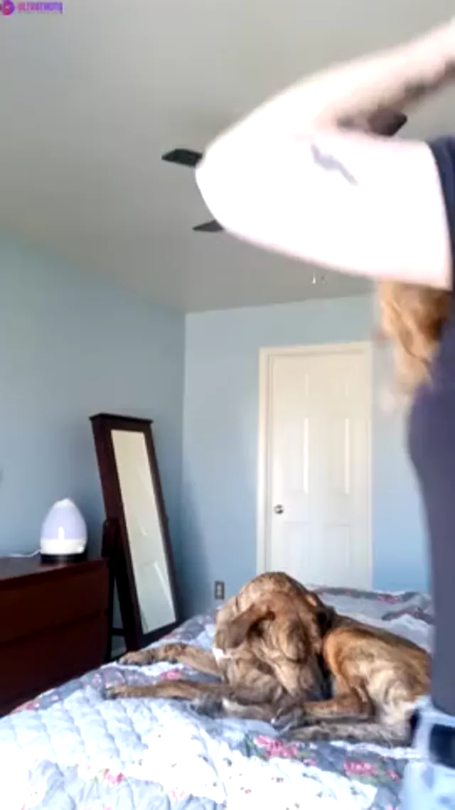 HarperTheFox Crazy Tits Flashing